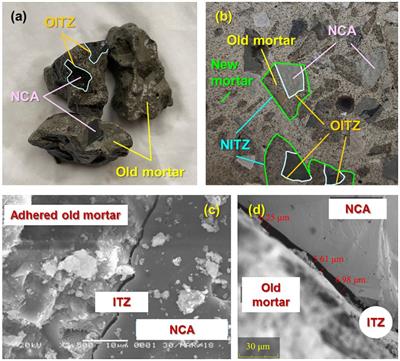 Durability life evaluation of marine infrastructures built by using carbonated recycled coarse aggregate concrete due to the chloride corrosive environment
